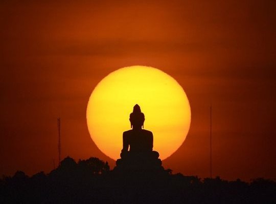 Một sự xuất hiện sáng chói